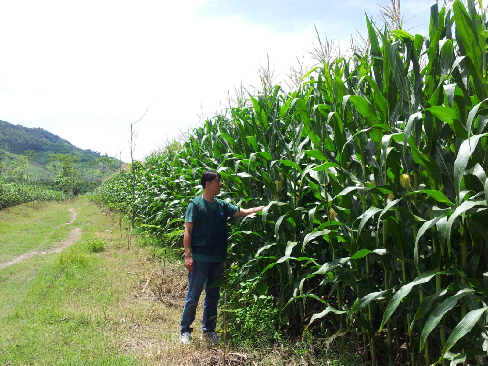 Banner Perjalanan Bisnis